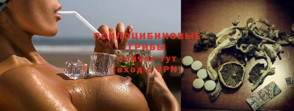 дурь Алзамай