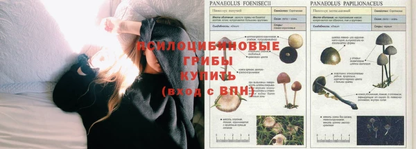 молекула духа Алексеевка