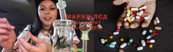 гидра Алексин