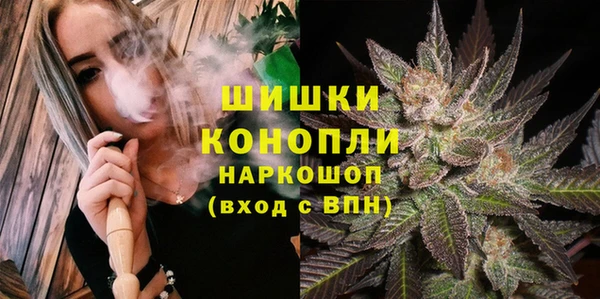 гидра Алексин