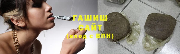 гидра Алексин