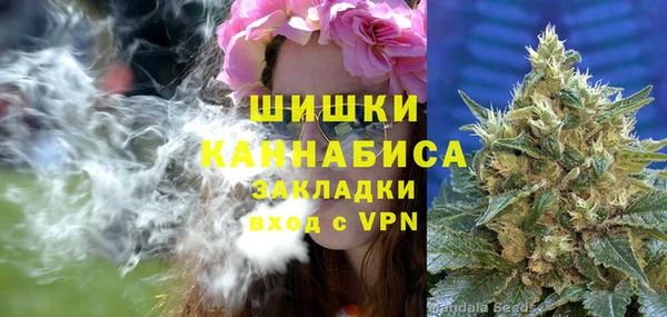 дурь Алзамай