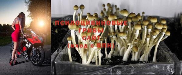 дурь Алзамай
