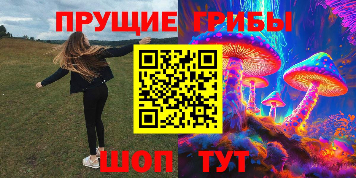 Псилоцибиновые грибы Psilocybine cubensis Урай